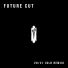 Future Cut feat. DLR
