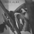 Tyto Alba