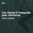 Ciro Visone & Toregualto pres. Harmonya