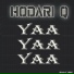 Hodari Q