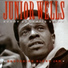 Junior Wells, Buddy Guy, Otis Spann