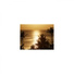 Mindfulness Healing BGM Project