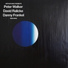 Danny Frankel, David Ralicke, Peter Walker