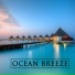 Ocean Sounds