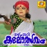 Siddarth Vijayan