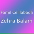 Famil Celilabadli