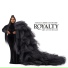 Tasha Cobbs Leonard feat. Ciara