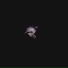 Cry Kestrel feat. Cameron Coffland