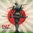 Kaef