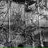 Detas