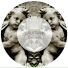 RADZH LIBERTINE