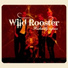 Wild Rooster