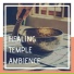 Tibetan Singing Bowls