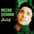 Hozan Şervan