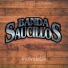 Banda Saucillos