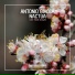 Antonio Giacca, Nactua