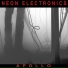 Neon Electronics