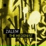 Zalem