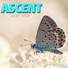 Ascent, Norma Project