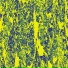 TERR, Daniel Watts