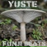 Yuste
