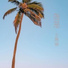 王晟涵