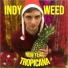 Indy Weed