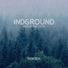 ARDENT RACCOON, INDGROUND