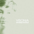 Visiona&Dopplereffekt