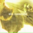 Elin Rosseland