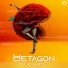 Metagon