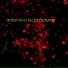 Ardennisa
