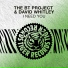 The BT Project, David Whitley