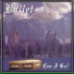 Bullet