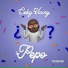 Ceky Viciny