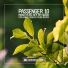 Passenger 10 - Monsters off My Back (Original Mix)