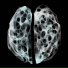 Synthetic Symmetry