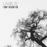 Lairus