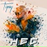 Tipay