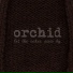 Orchid