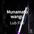 Lub Fire