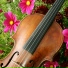 Ashokan Duo