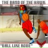 The Band of the Hawk