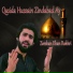 Zeeshan Khan Rokhri