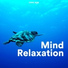 Relaxation Ready & Musica para Dormir Dream House