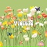 Vetta Borne