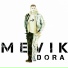 Mevik