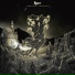 Igorrr - Spirituality and Distortion 2020
