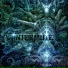 Wintermute