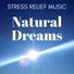 Walter Stress